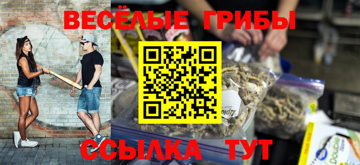 Саранск  Галлюциногенные грибы мицелий  Галлюциногенные грибы Cubensis  купить наркотик  Вход с VPN 