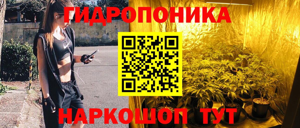 Бошки марихуана Ganja  Вход с VPN  Саранск  Бошки Шишки Ganja  Бошки марихуана планчик 
